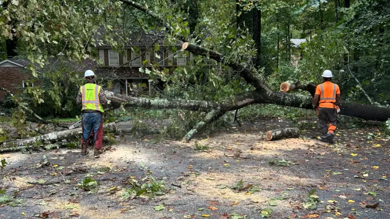 Is Vegetation Management a Good Career Path?  