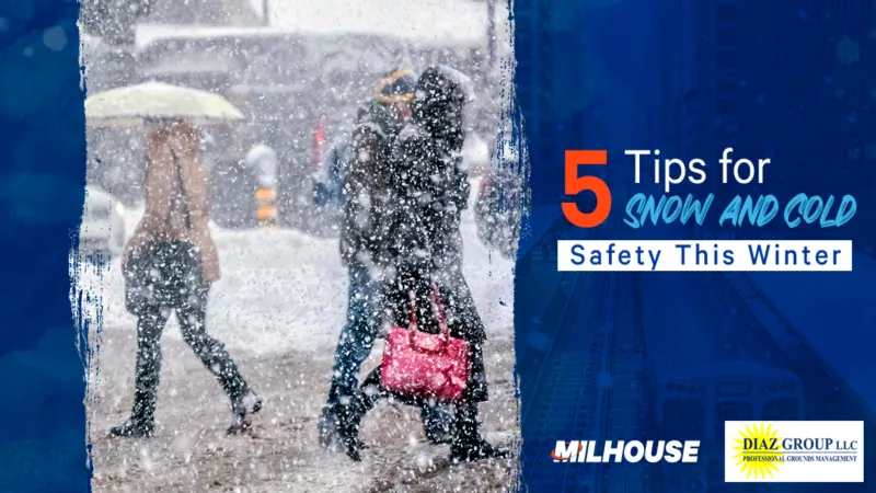 5 Tips for Snow and Cold Safety this Winter 